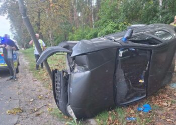 fot. Policja Zielona Góra
