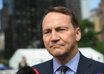 Radosław Sikorski Fot. PAP/Radek Pietruszka