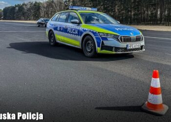 Zdjęcie ilustracyjne. Fot. Lubuska Policja