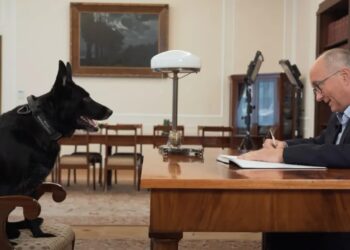 Marszałek Sejmu Włodzimierz Czarzasty i pies Cobra. Źródło Facebook/Sejm Rzeczypospolitej Polskiej, Włodzimierz Czarzasty