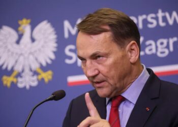 Radosław Sikorski, fot. PAP/Leszek Szymański