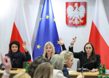 Obrady sejmowej komisji ds. prawa aborcyjnego (PAP/Paweł Supernak)