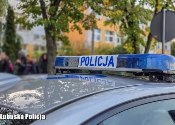 Zdjęcie ilustracyjne. Fot. Lubuska Policja