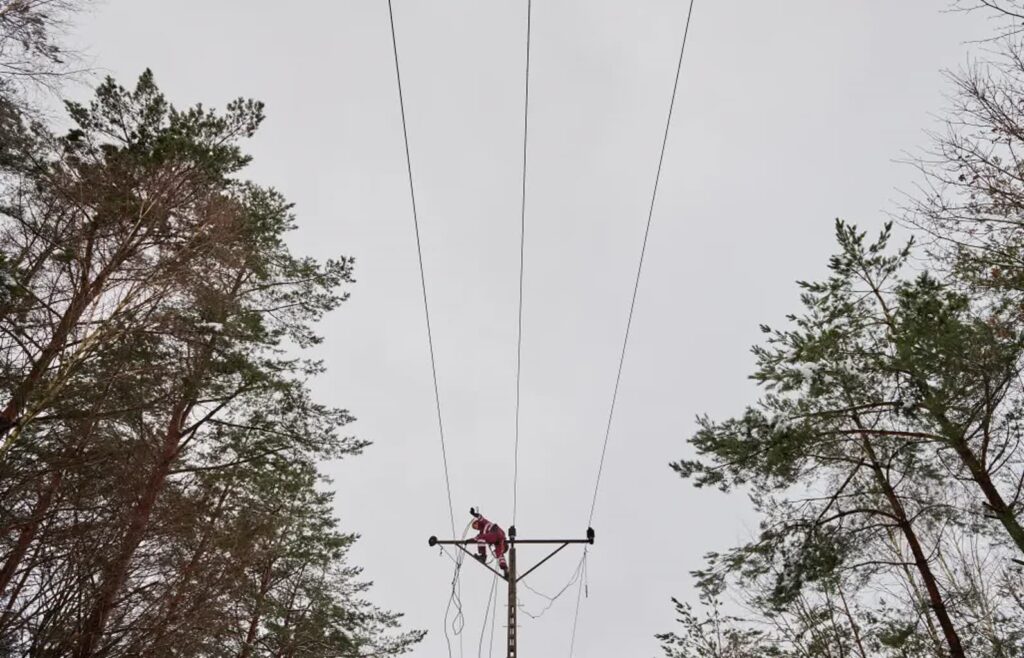 Naprawa linii energetycznej Fot. PAP/Adam Warżawa