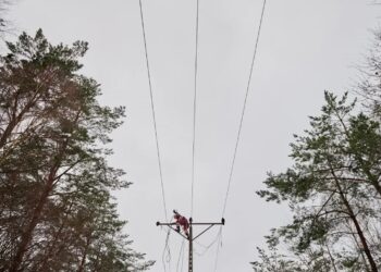 Naprawa linii energetycznej Fot. PAP/Adam Warżawa