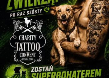 fot. Materiały prasowe organizatora