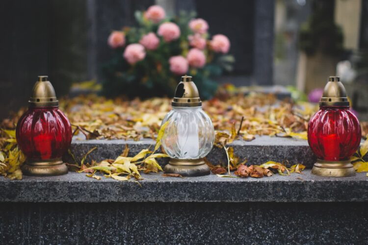 fot. Pixabay