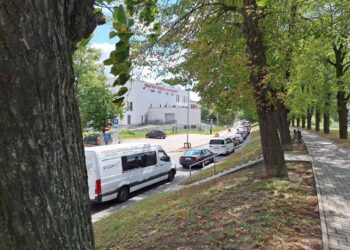 fot. UM Słubice