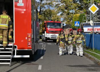 Strażacy na miejscu pożaru magazynu z częściami do ciągników rolniczych w Nisku, fot. PAP/Darek Delmanowicz
