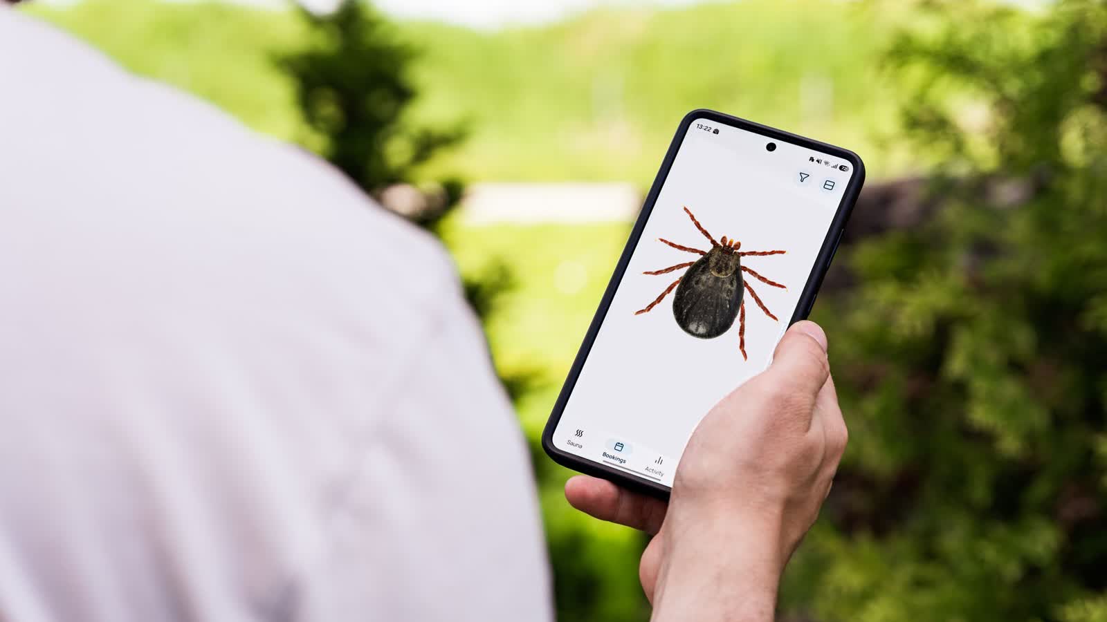 Badanie migracji kleszczy dzięki aplikacji na telefon