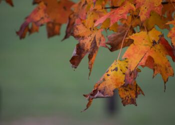 Fot. unsplash.com