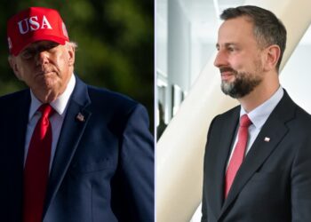 Donald Trump i Władysław Kosiniak-Kamysz. Fot. Kolaż zdjęć PAP