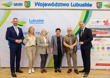 Rewitalizacja zabytkowego cmentarza przy szpitalu w Międzyrzeczu-Obrzycach. Konferencja prasowa w UMWL (lubuskie.pl)